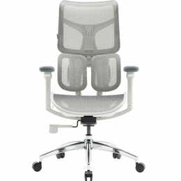 Крісло офісне Sihoo Doro S100 Mesh White (S100-M302)