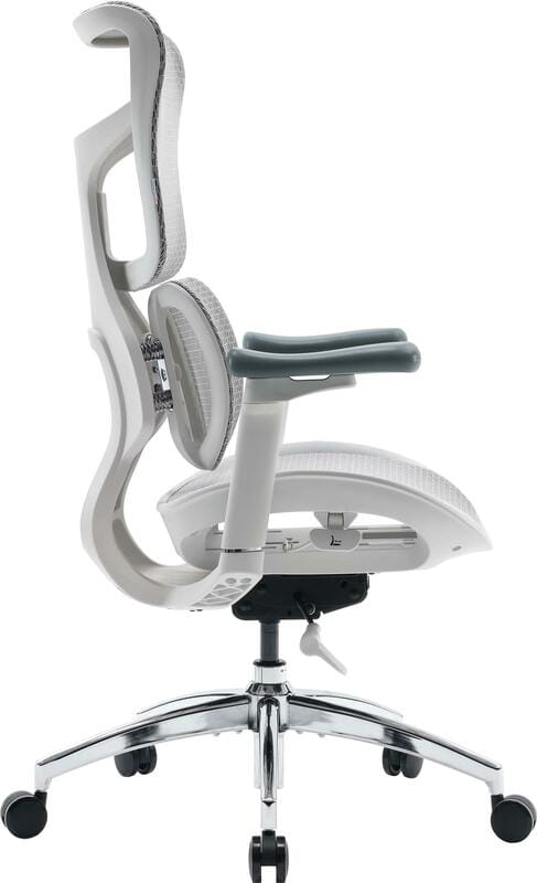 Крісло офісне Sihoo Doro S100 Mesh White (S100-M302)