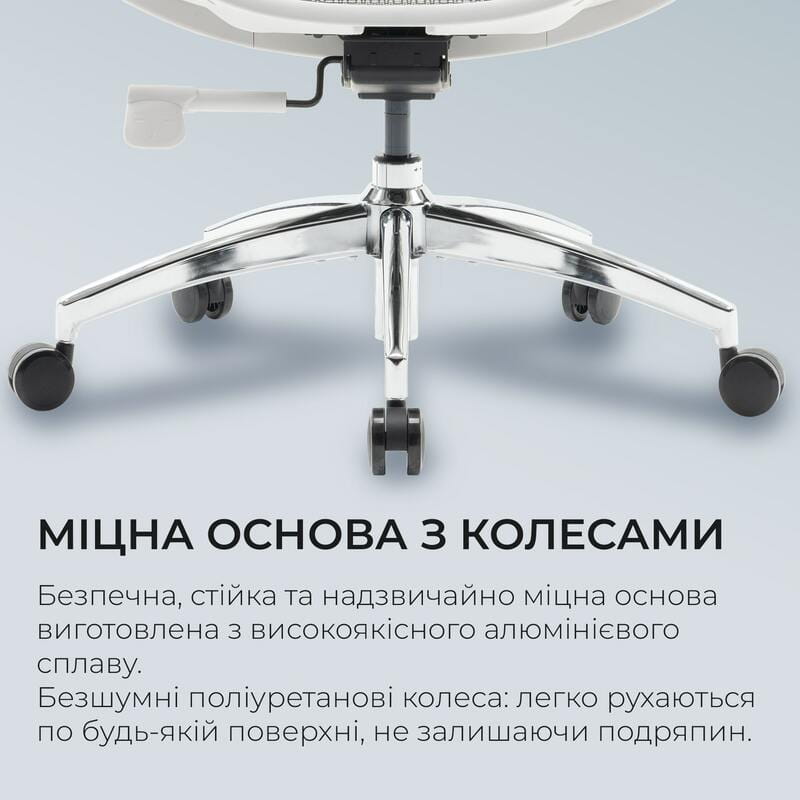 Крісло офісне Sihoo Doro S100 Mesh White (S100-M302)