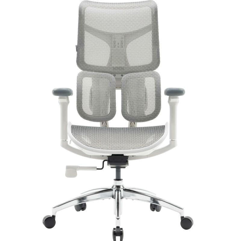 Крісло офісне Sihoo Doro S100 Mesh White (S100-M302)