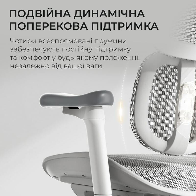 Крісло офісне Sihoo Doro S100 Mesh White (S100-M302)