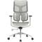 Фото - Крісло офісне Sihoo Doro S100 Mesh White (S100-M302) | click.ua
