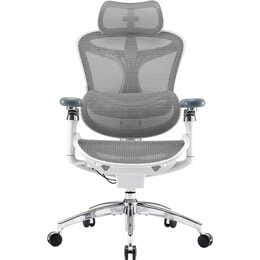 Кресло офисное Sihoo Doro C300 Pro Mesh White (DORO-C300-PRO-M102)