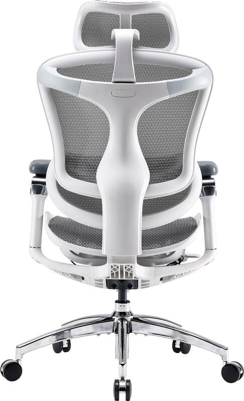 Крісло офісне Sihoo Doro C300 Pro Mesh White (DORO-C300-PRO-M102)