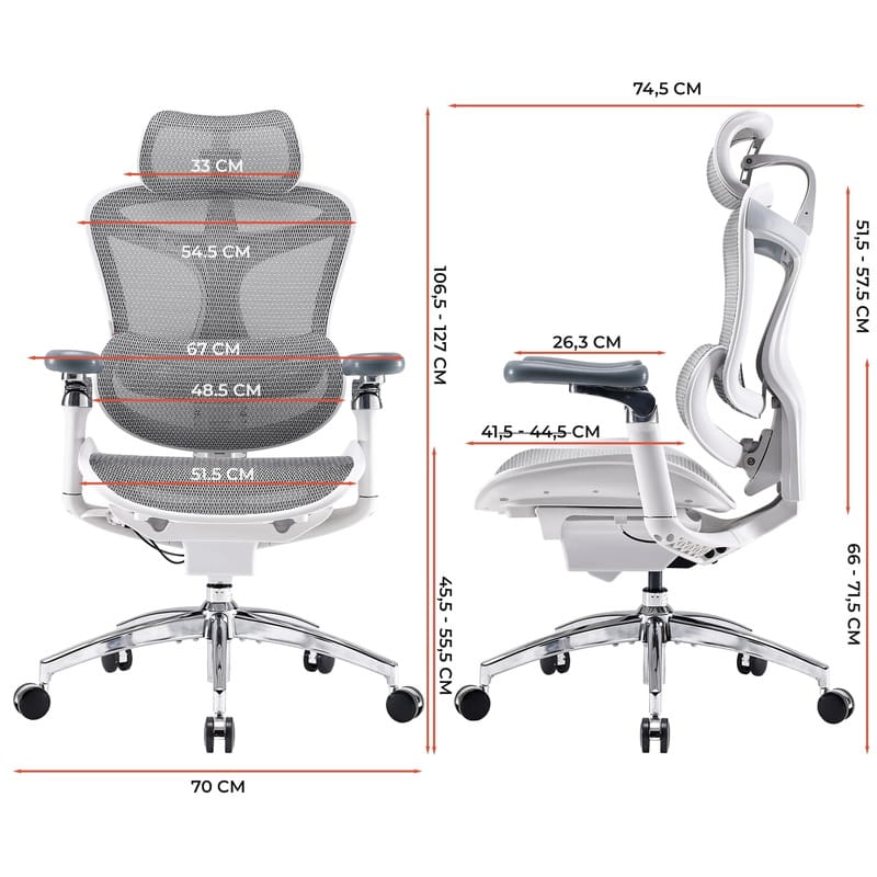 Крісло офісне Sihoo Doro C300 Pro Mesh White (DORO-C300-PRO-M102)