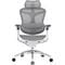 Фото - Крісло офісне Sihoo Doro C300 Pro Mesh White (DORO-C300-PRO-M102) | click.ua