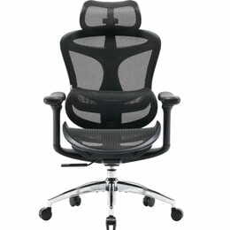 Кресло офисное Sihoo Doro C300L Mesh Black (DORO-C300L-A3-101)