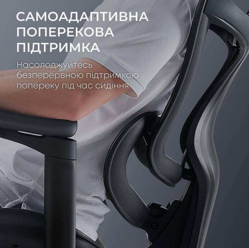 Крісло офісне Sihoo Doro C300L Mesh Black (DORO-C300L-A3-101)