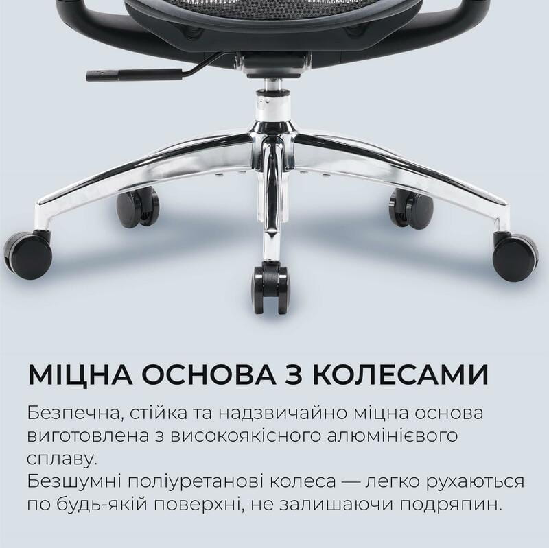 Крісло офісне Sihoo Doro C300L Mesh Black (DORO-C300L-A3-101)