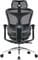 Фото - Крісло офісне Sihoo Doro C300L Mesh Black (DORO-C300L-A3-101) | click.ua
