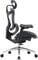 Фото - Крісло офісне Sihoo Doro C300L Mesh Black (DORO-C300L-A3-101) | click.ua