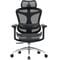 Фото - Крісло офісне Sihoo Doro C300L Mesh Black (DORO-C300L-A3-101) | click.ua
