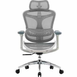 Кресло офисное Sihoo Doro C300L Mesh White DORO-C300L-A3-102)