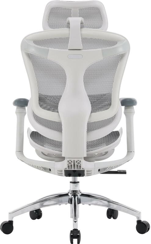 Крісло офісне Sihoo Doro C300L Mesh White DORO-C300L-A3-102)