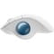 Фото - Миша Bluetooth Logitech Ergo M575 White (910-005870) | click.ua