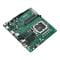 Фото - Материнська плата Asus Pro H610T-CSM Socket 1700 | click.ua