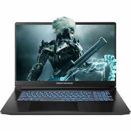 Ноутбук Dream Machines RT5050-17 (RT5050-17UA24) Black