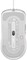 Фото - Миша Lenovo Legion M300s RGB Gaming Mouse Stingray White (GY51H47351) USB | click.ua