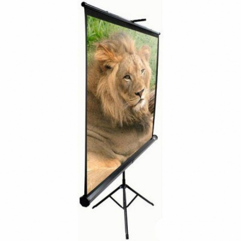 Экран на треноге Elite Screens 100" (203.2x152.4, 4:3) (T100UWV1)