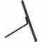 Фото - Монитор Asus 15.6" ZenScreen MB169CK (90LM0AZ3-B01171) IPS Black | click.ua