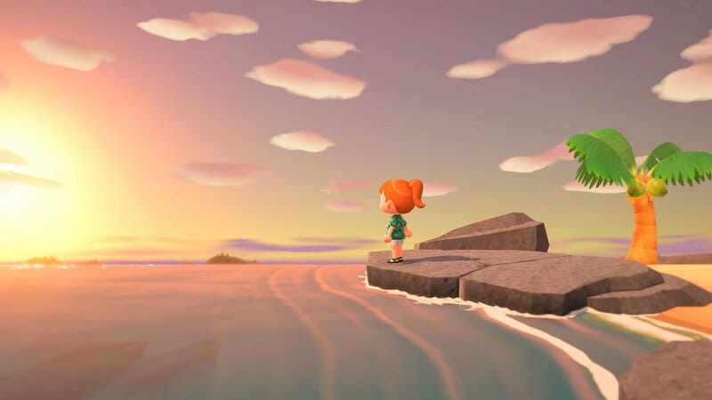 Гра Animal Crossing New Horizons для Nintendo Switch (45496425449)