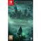 Фото - Гра Hogwarts Legacy Deluxe Edition для Nintendo Switch (5051895415597) | click.ua