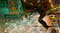 Фото - Игра Sleeping Dogs Definitive Edition для PlayStation 4, Blu-ray (SDOGD4EN0) | click.ua