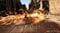 Фото - Игра Forspoken Standard Edition для PlayStation 5, Blu-ray (SFORS5EN01) | click.ua
