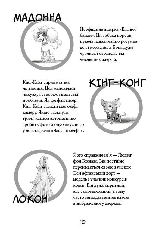 Вулична банда. Книга 1: Лапа лапу миє / Келлі Стронк