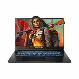 Ноутбук Dream Machines RT5060-17 (RT5060-17UA21) Black