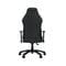Фото - Крісло для геймерів Anda Seat Luna Size L Dark Gray Fabric (AD18-44-GB-F) | click.ua