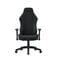 Фото - Крісло для геймерів Anda Seat Luna Size L Dark Gray Fabric (AD18-44-GB-F) | click.ua