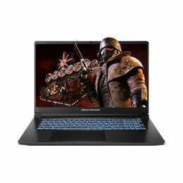 Ноутбук Dream Machines RT5070-17 (RT5070-17UA20) Black