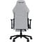 Фото - Крісло для геймерів Anda Seat Luna Pro Size L Gray Fabric (AD18T-44-G-F) | click.ua