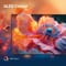 Фото - Телевизор Hisense 40A5Q | click.ua