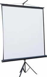 Проекционный экран Atria 84" (170x127, 4:3) (TRM-NTSC-84D)