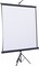 Фото - Проекционный экран Atria 136" (244x244, 1:1) (ECO TRM-AV-96) | click.ua