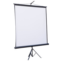 Проекционный экран Atria 136" (244x244, 1:1) (ECO TRM-AV-96)