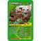 Фото - Настольная игра Winning Moves Top Trumps Dinosaurs (WM01572-EN1-6) | click.ua