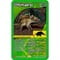 Фото - Настольная игра Winning Moves Top Trumps Dinosaurs (WM01572-EN1-6) | click.ua