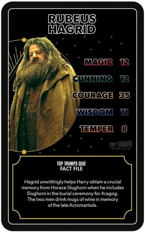 Настольная игра Winning Moves Harry Potter Quiz - Heroes of Hogwarts (WM02879-EN1-6)