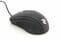 Фото - Мишка 2E MF103 Black (2E-MF103UB) | click.ua