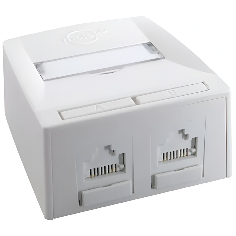 Розетка зовнішнього монтажу Molex Synergy DG+, 2xRJ45, 568A/B UTP, PowerCat 5e (SSY-00010-02)