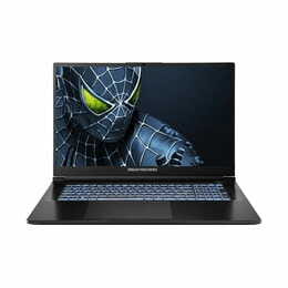 Ноутбук Dream Machines RG5050-17 (RG5050-17UA24) Black