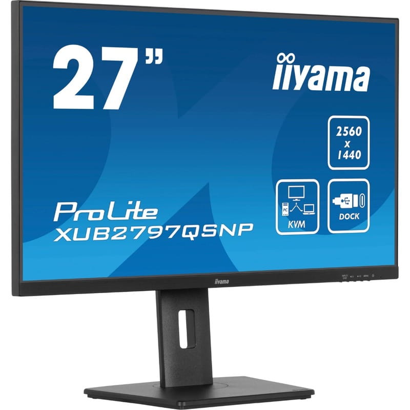 Монитор Iiyama 27" ProLite XUB2797QSNP-B1 IPS Black 100Hz