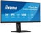 Фото - Монитор Iiyama 34" ProLite XUB3493WQSU-B6 IPS Black 120Hz | click.ua