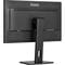 Фото - Монитор Iiyama 27" ProLite XUB2797QSU-B2 IPS Black 100Hz | click.ua