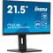 Фото - Монітор Iiyama 21.5" ProLite XUB2293HSU-B7 IPS Black 100Hz | click.ua