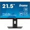 Фото - Монітор Iiyama 21.5" ProLite XUB2293HSU-B7 IPS Black 100Hz | click.ua