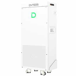 Акумуляторна батарея з підігрівом Dyness PowerBrick 14.34KWH 51.2V 280AH